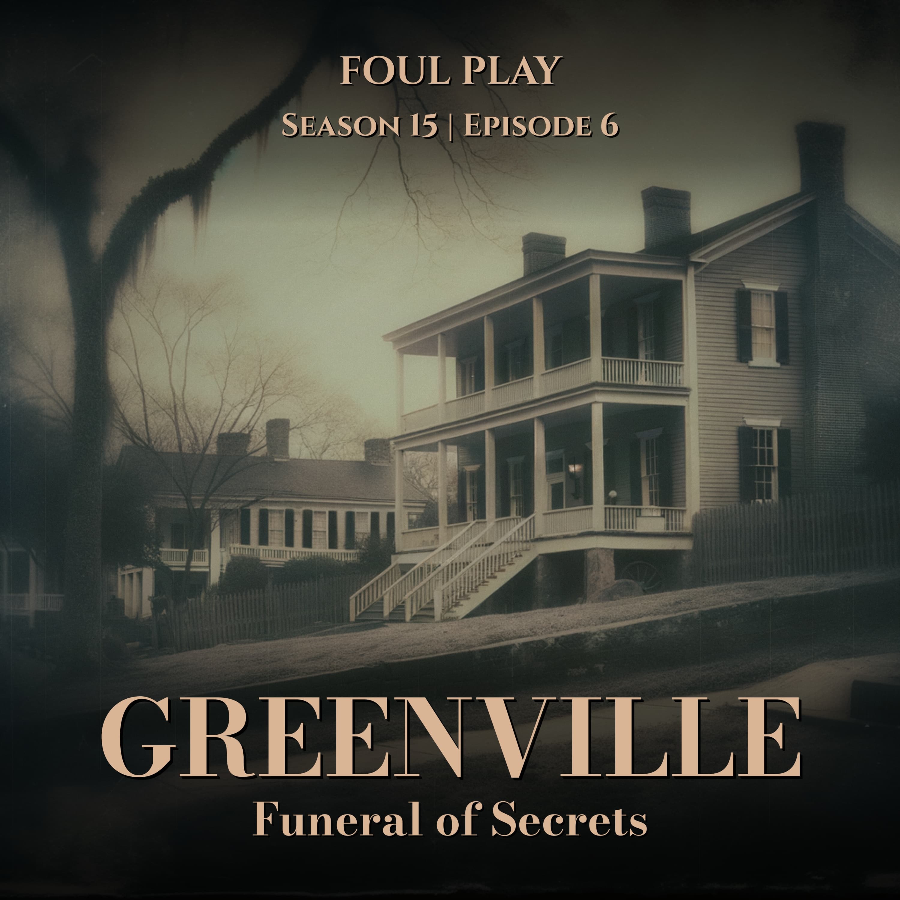 My Aunt and the Hitman: The Funeral