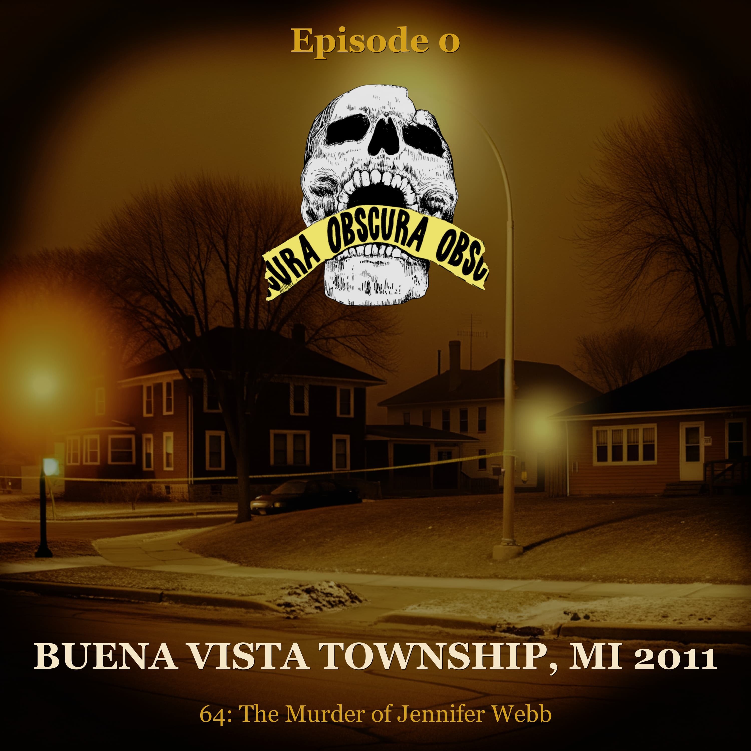MURDERED: Jennifer Webb | Buena Vista Township, MI 2011