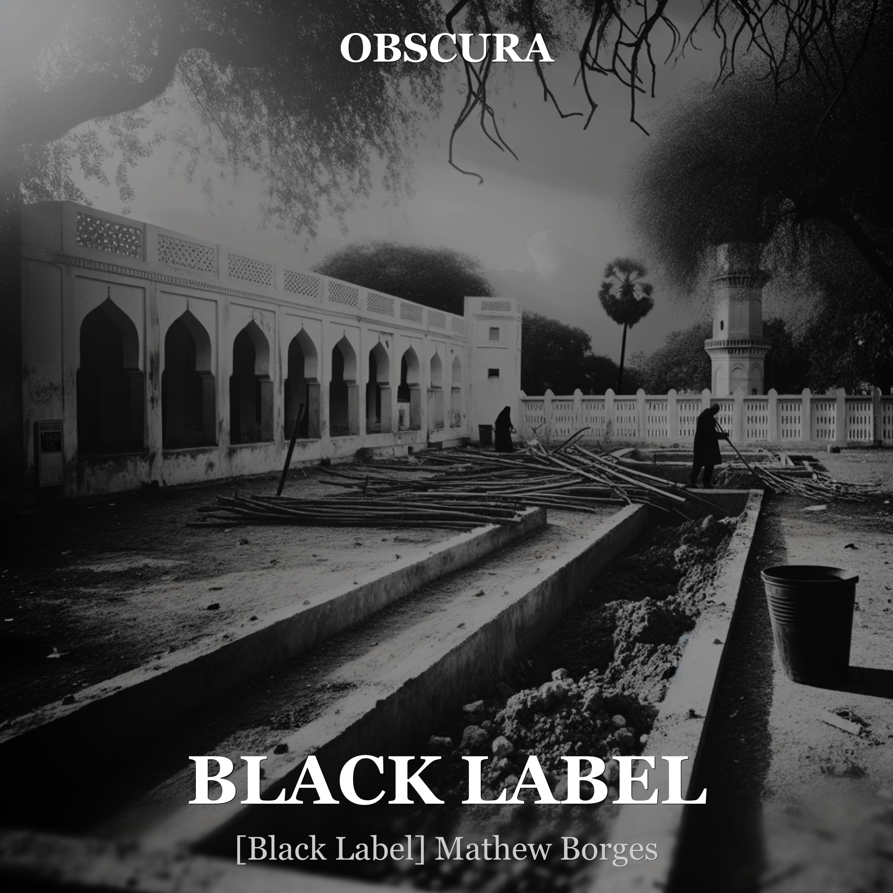 BLACK LABEL: The Mathew Borges Case