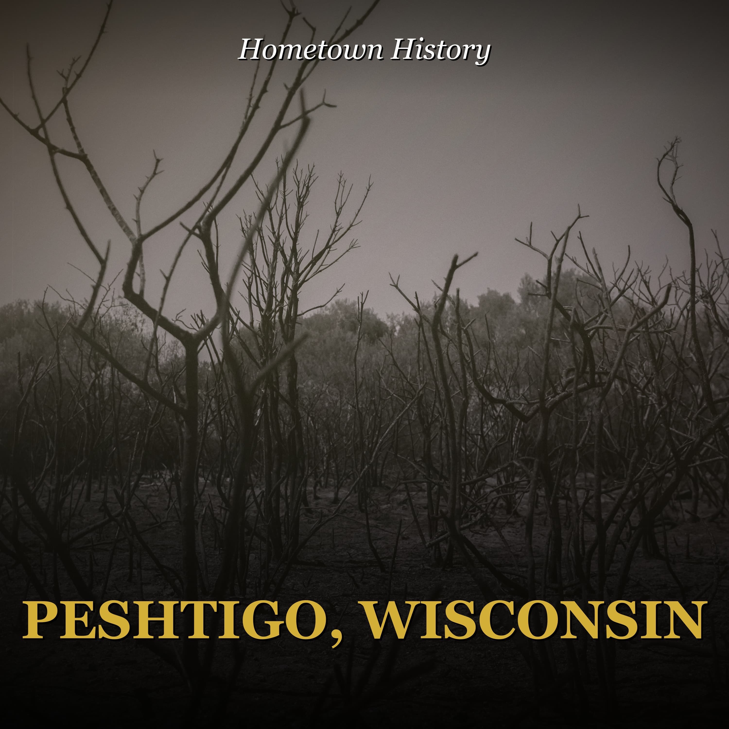 Peshtigo, Wisconsin: America's Deadliest Fire You've Never Heard Of